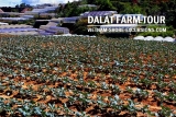 Dalat Farm Tour
