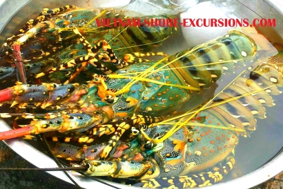 UNSEEN Saigon Shore Excursions from Phu My